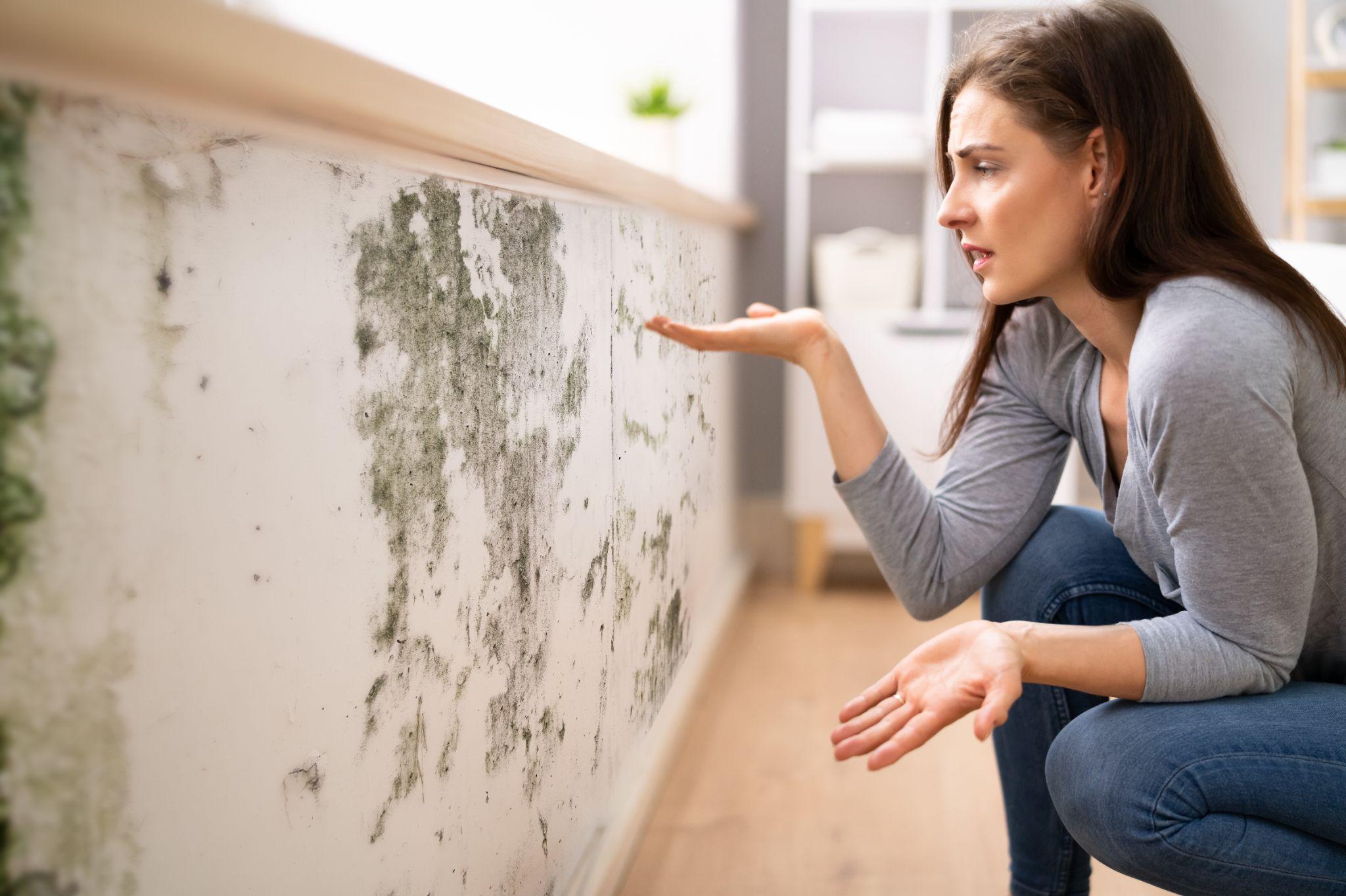 Shocked woman looking at mold on wall