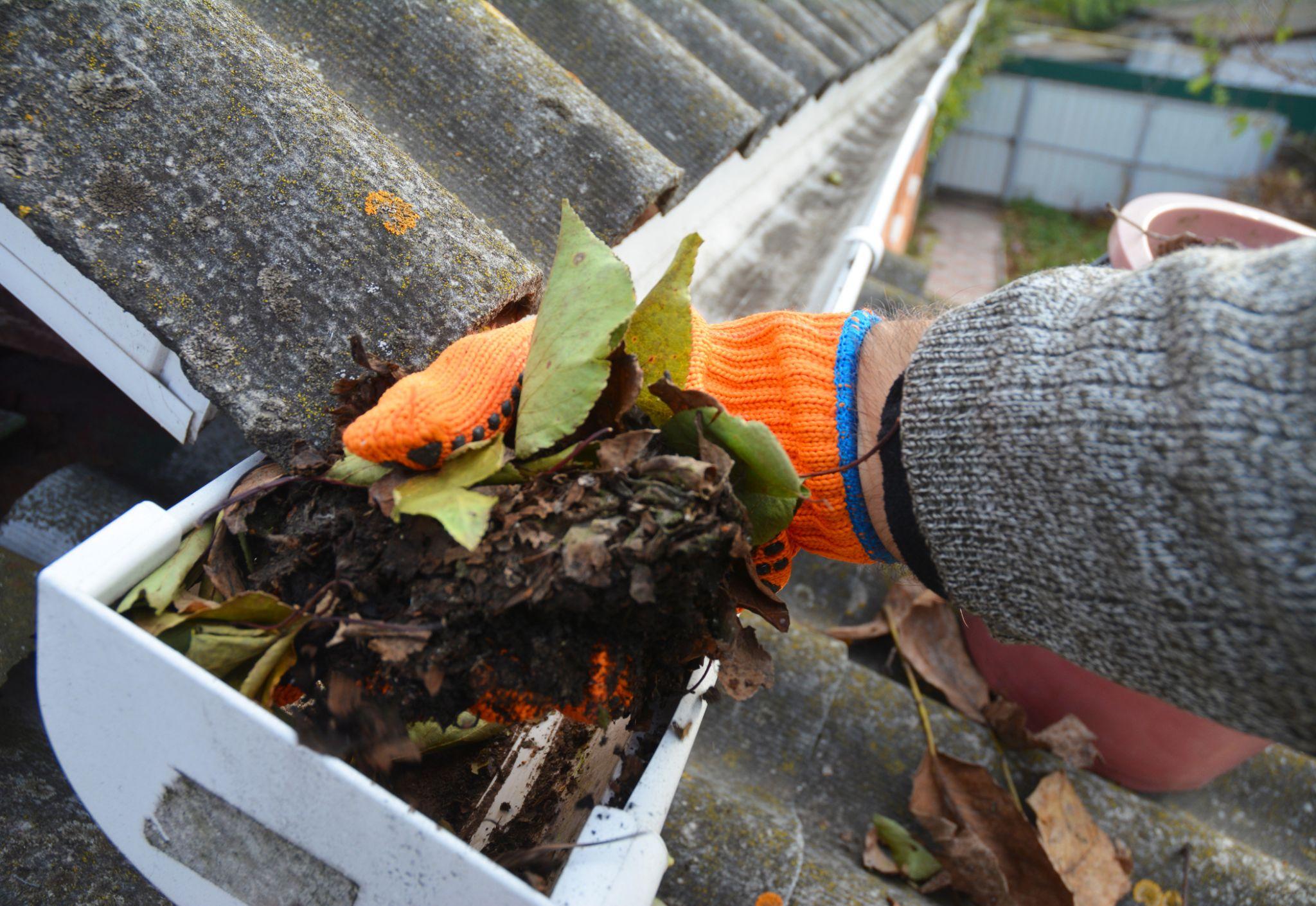 A man is cleaning a clogged roof gutter from dirt